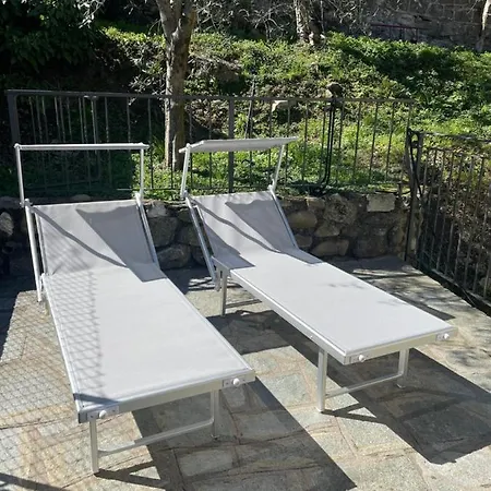 Casa Delle Olive 1 Апартаменты Oliveto Lario