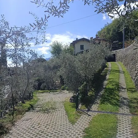 Casa Delle Olive 1 아파트 *